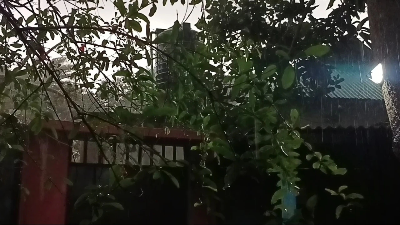 আশুলিয়ায় ঝড়ো আবহাওয়ার পর আকস্মিক ভারী শিলাবৃষ্টি, জনজীবনে দুর্ভোগ