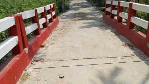 উদ্বোধনের আগেই খালের বুকে শুয়ে পড়ল রাজাপুরের ব্রিজ
