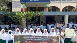 ঈদের ছুটিতে এস এম পাইলট উচ্চ বিদ্যালয়ের গাছ চুরি করে নিয়েগেছে দুর্বৃত্তরা