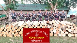 বাঘাইছড়িতে  বিজিবি অভিযানে বিপুল পরিমাল অবৈধ কাঠ জব্দ