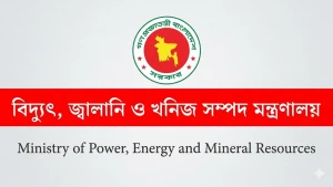 সব শিক্ষাপ্রতিষ্ঠানে সপ্তাহে ৩ দিন অনলাইনে ক্লাসের প্রস্তাব বিদ্যুৎ জ্বালানি মন্ত্রাণালয়ের