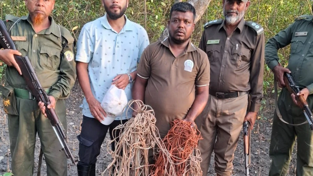 সুন্দরবনে ১৫ শ ফুট হরিণ ধরার ফাঁদ উদ্ধার করছে বন বিভাগ