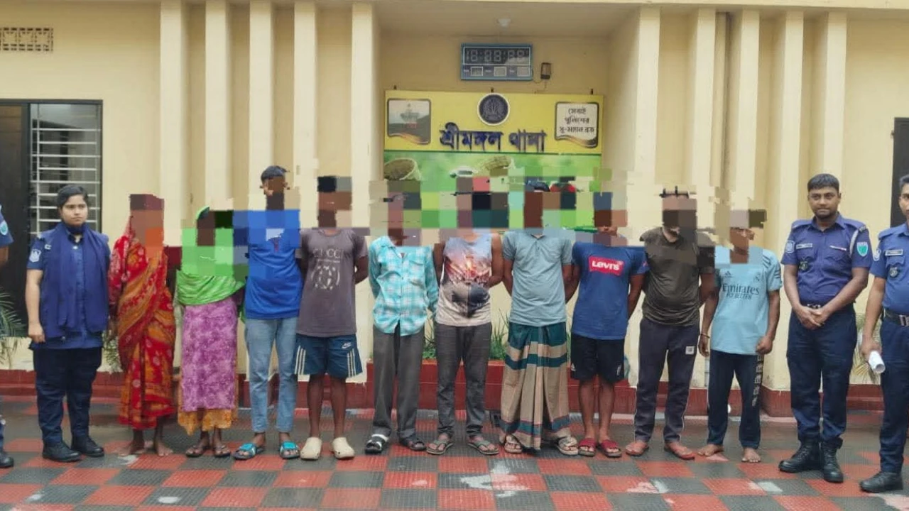 শ্রীমঙ্গলে মাদকসহ বিভিন্ন মামলায় ১০ জনকে গ্রেপ্তার