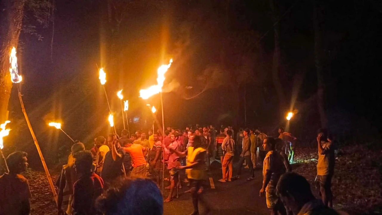 ঝিনাইগাতীতে হাতির ভয়ে নির্ঘুম রাত কাটছে সীমান্তের চার গ্রামের মানুষের