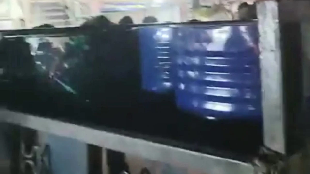 উল্লাপাড়ায়  ২৪২০ লিটার পেট্রোল জব্দ, ১০ হাজার টাকা জরিমানা