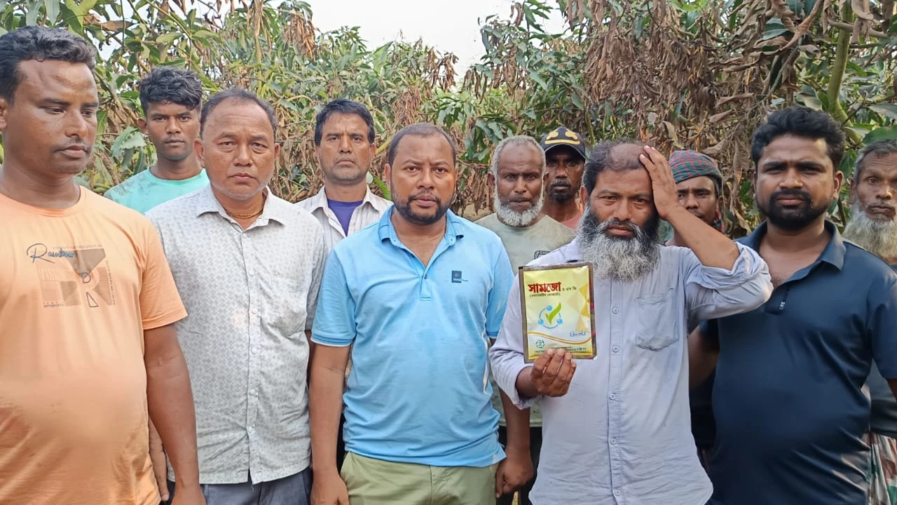 রাণীশংকৈলে ভেজাল কীটনাশকে আম বাগানে বিপর্যয়, ক্ষতি প্রায় কোটি টাকা