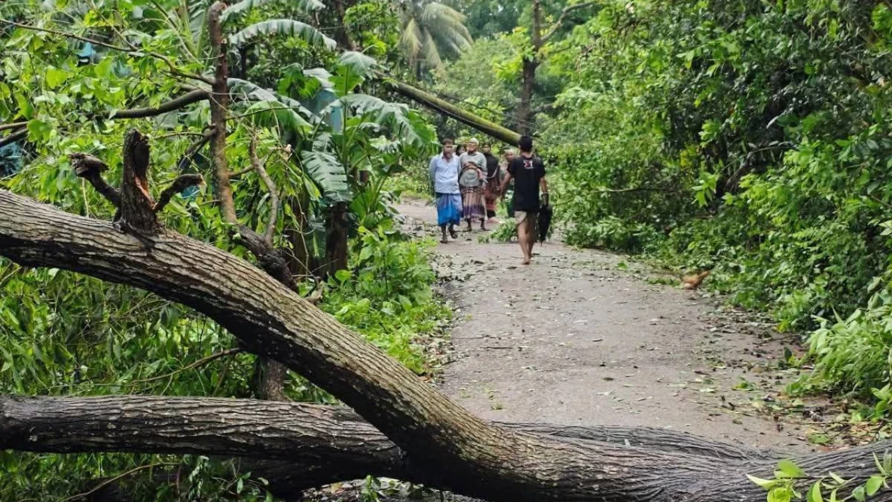টেকনাফে কালবৈশাখীর তাণ্ডব: ব্যাপক ক্ষয়ক্ষতি