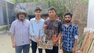 শেরপুরে প্যাঁচা ছানা উদ্ধার  নিরাপদে মায়ের কাছে ফিরিয়ে দেওয়ার উদ্যোগ