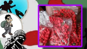 ঠাকুরগাঁওয়ে ২ হাজার পিস ইয়াবা ছিনতাই, ভাগবাটোয়ারা করলেন কারা!