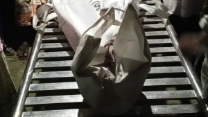 ঈশ্বরগঞ্জে সড়ক দুর্ঘটনা নিহত ২, আহতদের অবস্থা আশঙ্কাজনক