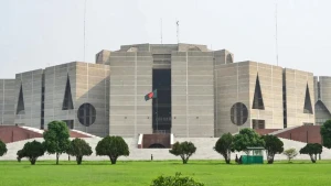 অন্তর্বর্তী সরকারের ১৪ অধ্যাদেশ বিল আকারে পাস