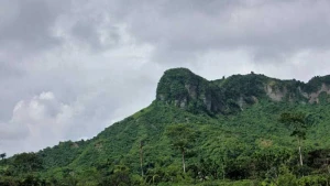 টেকনাফের বাহারছড়া পাহাড়ে অপহরণ আতঙ্ক: রোহিঙ্গা ডাকাতদের দৌরাত্ম্যে নিরাপত্তাহীনতায় স্থানীয়রা