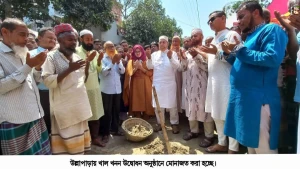 উল্লাপাড়ায় খাল খনন উদ্বোধন করলেন এমপি রফিকুল ইসলাম খান