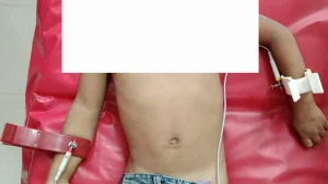 ঠাকুরগাঁওয়ে পাওয়ার টিলারের চাপায় প্রাণ গেল ৩ বছরের শিশু, পরিবারের শোকের ছায়া