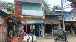 বাউফলে সরকারি রাস্তা অবৈধ দখল করে দোকানঘর ও দ্বিতল ভবন নির্মাণ