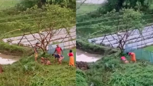 চুরির অপবাদ দিয়ে বৃদ্ধকে বেঁধে মারধর