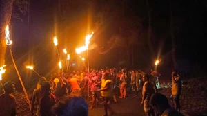 ঝিনাইগাতীতে হাতির ভয়ে নির্ঘুম রাত কাটছে সীমান্তের চার গ্রামের মানুষের