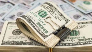 ২০ দিনে রেমিট্যান্স এলো ২২১ কোটি ডলার
