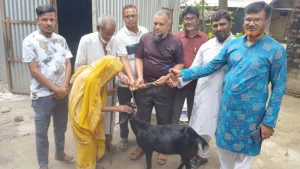 সলঙ্গায় মানবিক সংগঠন "প্রিয় সলঙ্গার গল্প" থেকে অসহায় দম্পতিকে দেওয়া হলো ছাগল