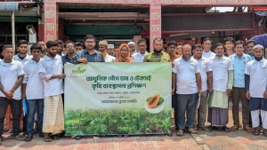 ভালুকায় ব্র্যাক নার্সারির উদ্যোগে পেঁপে চাষের আধুনিক পদ্ধতি প্রশিক্ষণ সম্পন্ন