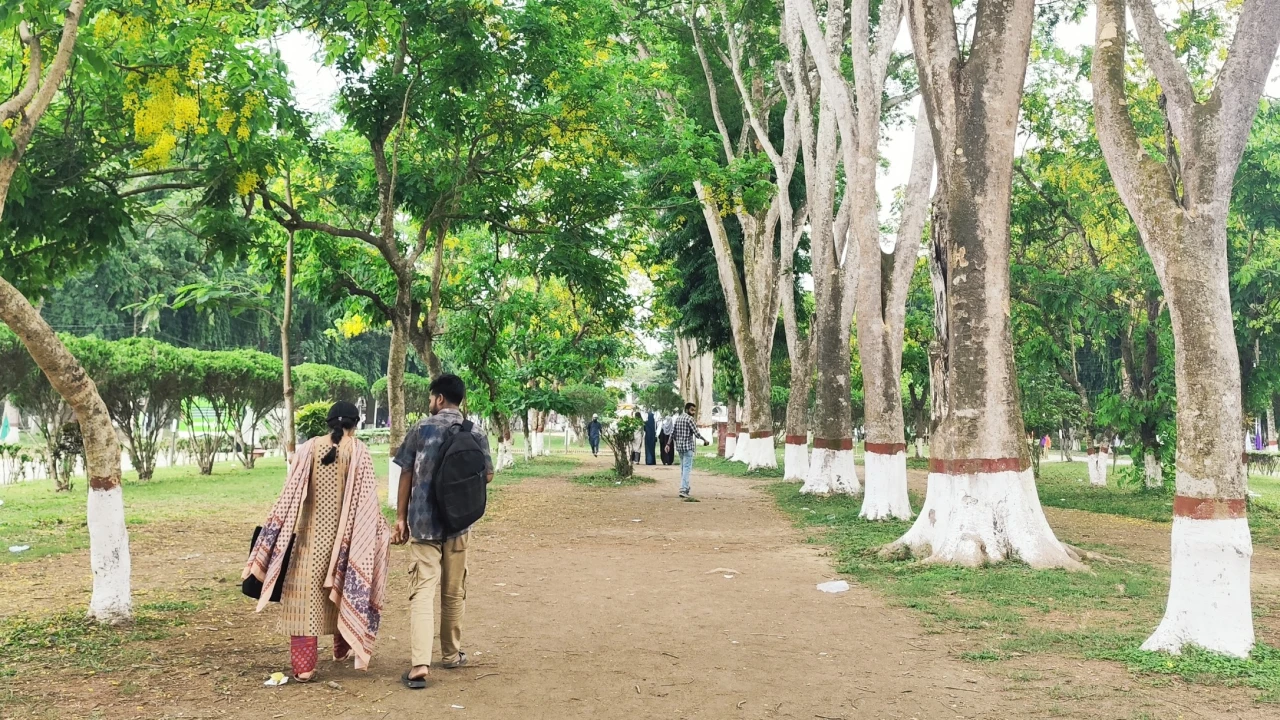 প্রেম, বিরহ আর বন্ধুত্বের সবুজ আঙিনা ইবির ডায়না চত্বর