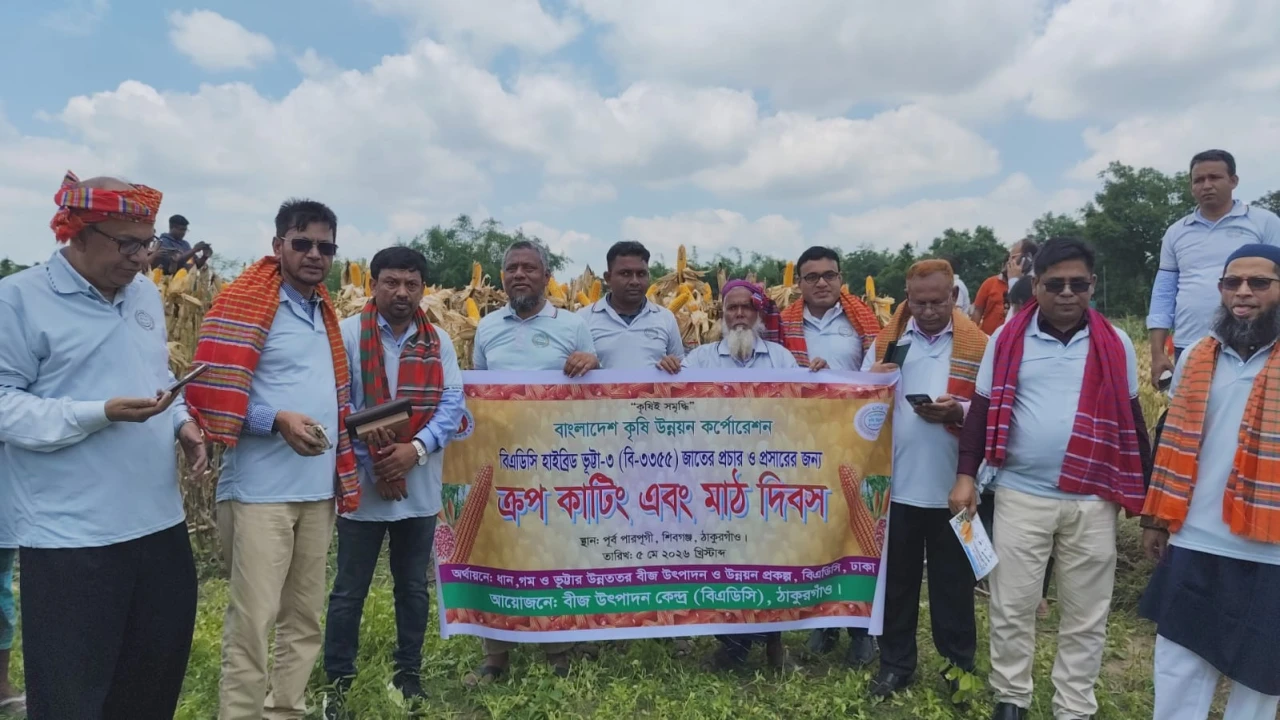 ঠাকুরগাঁওয়ে হাইব্রিড ভুট্টা চাষ ও বীজ উৎপাদন বিষয়ক মাঠ দিবস অনুষ্ঠিত