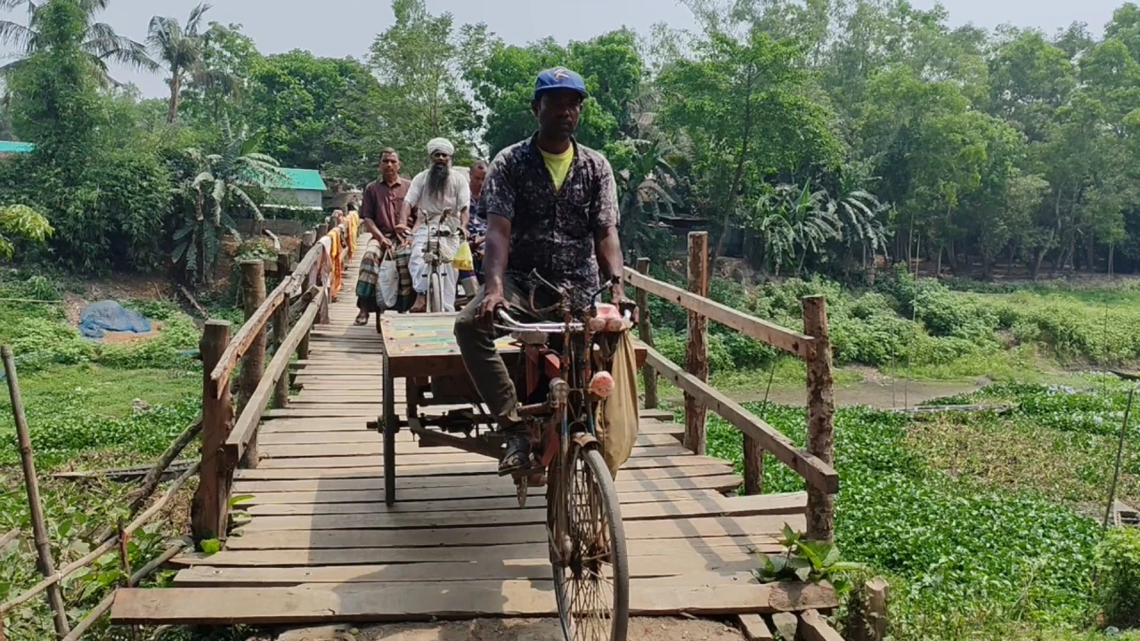 স্বাধীনতার ৫৪ বছরেও হয়নি সেতু, ২০ গ্রামের মানুষের ভরসা কাঠের সাঁকো