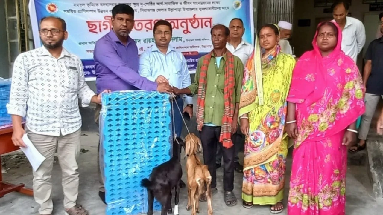 উল্লাপাড়ায় ক্ষুদ্র নৃগোষ্ঠীর ৫০ জন বিনামূল্যে পেলেন ছাগল