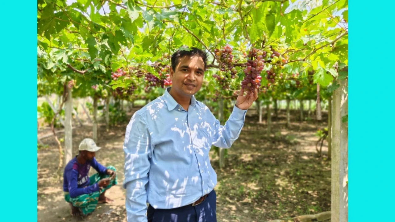 মণিরামপুরে মানবিক ইউএনও সম্রাট হোসেন: শিক্ষার্থীদের বিপথগামিতা রোধে মাঠে সক্রিয়