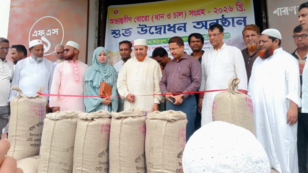 উল্লাপাড়ায় বোরো ধান - চাউল ক্রয় সংগ্রহ উদ্বোধন