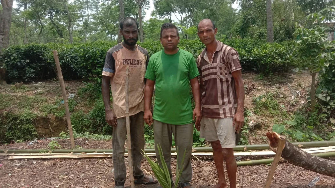 "চল মুলুকে চল দিবস" উপলক্ষে শ্রদ্ধা জানিয়ে তালগাছ রোপণ