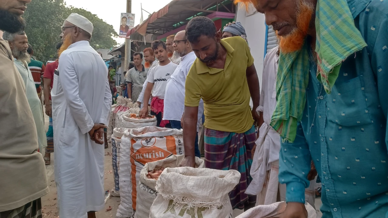 সালথায় বড়দিয়া হাটেমপ্রথম দিনেই জমজমাট বেচাকেনা, খুশি কৃষক ও ব্যবসায়ীরা