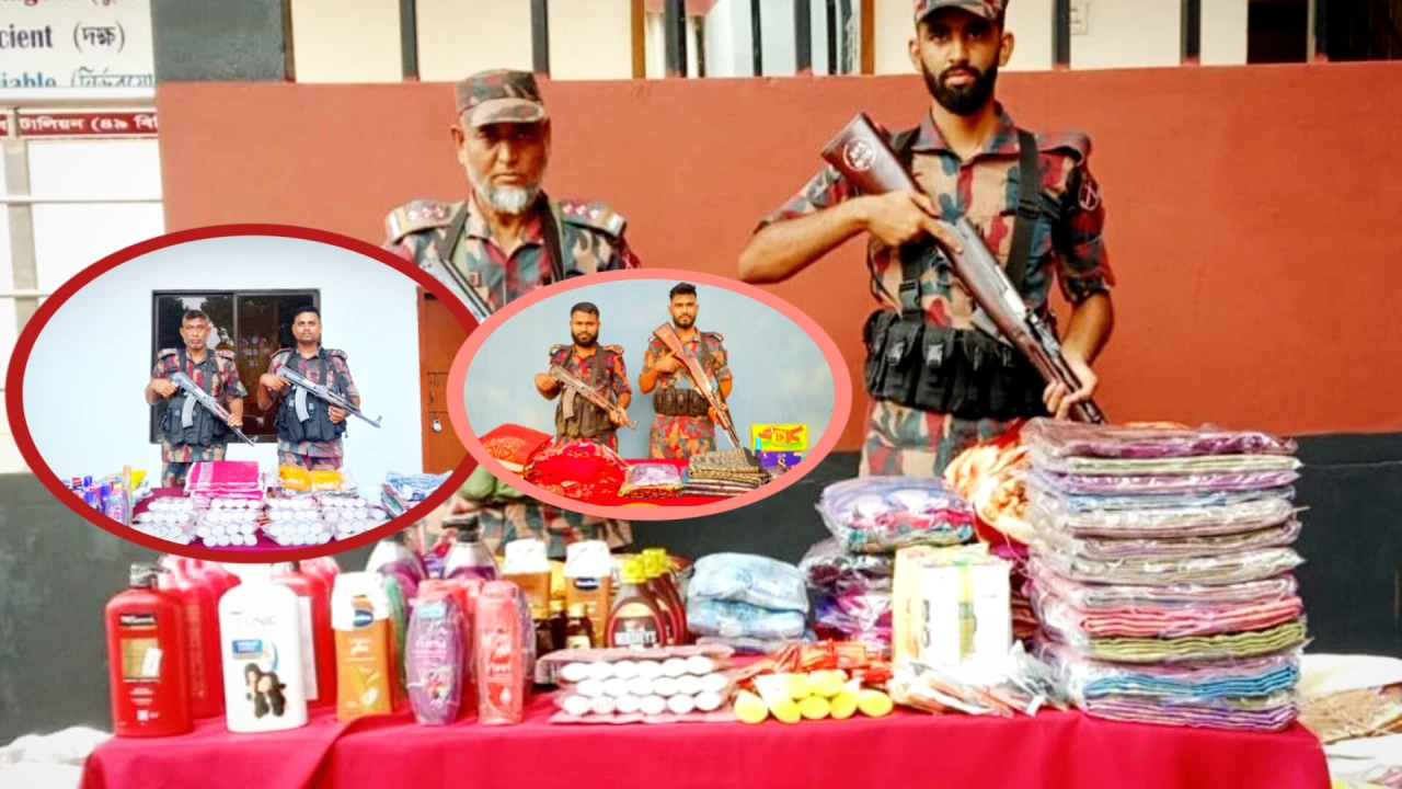 বেনাপোল সীমান্তে ২৫ লক্ষ টাকার অবৈধ মালামাল আটক