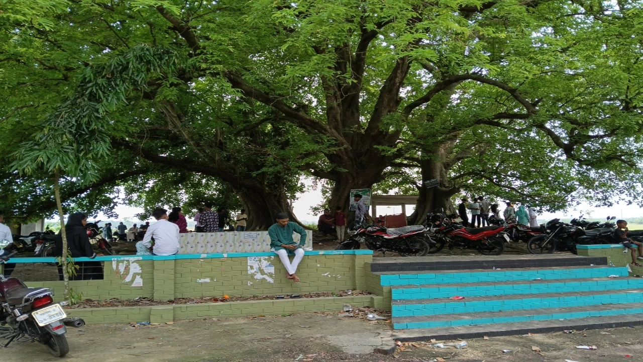 বাঘারপাড়ায় দর্শনার্থীদের নজর কেড়েছে প্রকৃতির এক অপূর্ব বিস্ময়