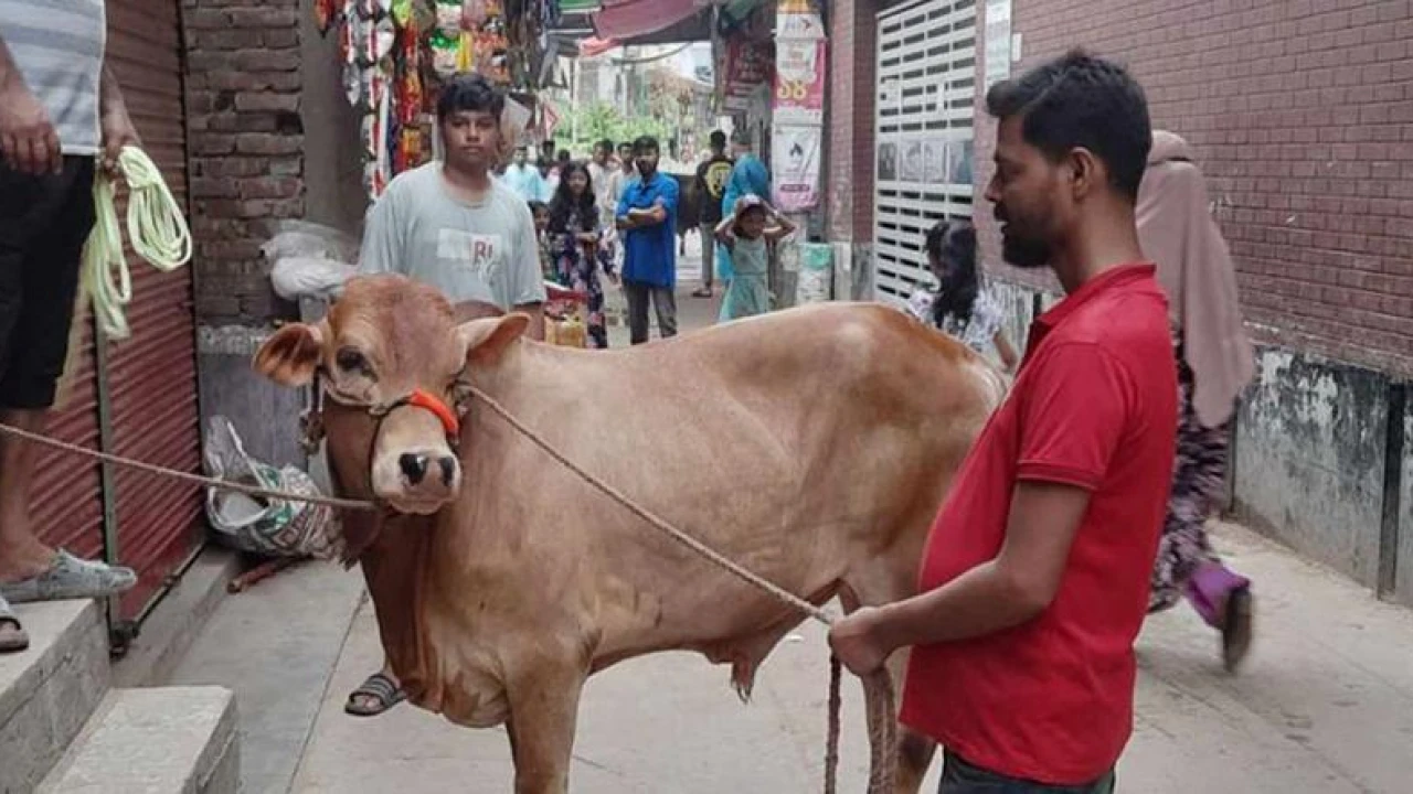 ঢাকায় ঈদের দ্বিতীয় দিনেও চলছে পশু কোরবানি