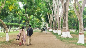 প্রেম, বিরহ আর বন্ধুত্বের সবুজ আঙিনা ইবির ডায়না চত্বর