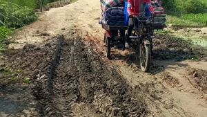 উল্লাপাড়ায়  এ্যালংজানি হাট হয়ে কাচা সড়কে চলাচল