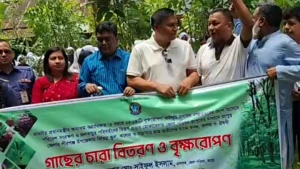 সবুজায়নের অঙ্গীকারে পীরগঞ্জে প্রশাসনের উপস্থিতিতে বৃক্ষরোপণ উৎসব সম্পন্ন