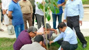 সরকারের বৃক্ষরোপণ প্রকল্প বাস্তবায়নে নজরুল বিশ্ববিদ্যালয়ে বৃক্ষ রোপণের উদ্যোগ