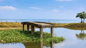 সেতুটি ৮টি পিলার নিয়ে দাঁড়িয়ে; নেই কোন রাস্তা!