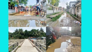সেবার নামে টালবাহানাঃ মণিরামপুর পৌরসভার প্রকৌশলী শাখার সেবাদানে পৌরবাসীর অনাস্থা! জ্বলেনা বাতি-অচল ড্রেন
