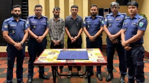 আন্তঃজেলা ছিনতাইকারী চক্রের দুই সদস্য গ্রেপ্তার
