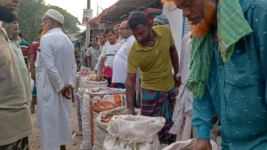 সালথায় বড়দিয়া হাটেমপ্রথম দিনেই জমজমাট বেচাকেনা, খুশি কৃষক ও ব্যবসায়ীরা
