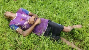 শ্রীমঙ্গলে বিদ্যুৎপৃষ্টে একজনের মৃত্যু