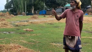 উল্লাপাড়ায় এক গ্রামে এক সমাজে ৩৬২ পরিবার