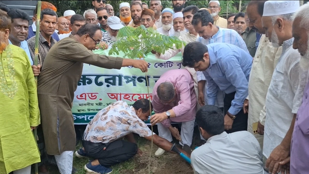 বাসাইলে বৃক্ষরোপণ কর্মসূচির উদ্বোধন করলেন মুক্তিযুদ্ধ বিষয়ক মন্ত্রী আহমেদ আযম খান