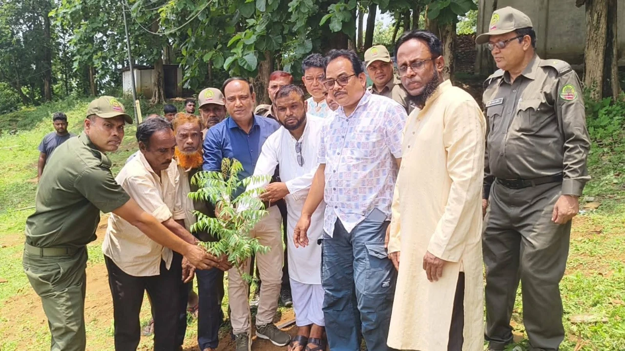 জলবায়ু পরিবর্তনের প্রভাব মোকাবিলায় মহালছড়িতে বৃক্ষরোপণ উৎসব
