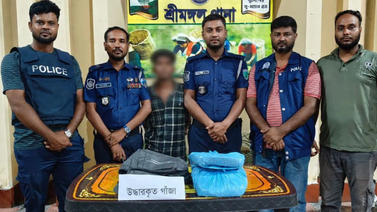 শ্রীমঙ্গলে ২ কেজি গাঁজাসহ কারবারি পুলিশের জালে