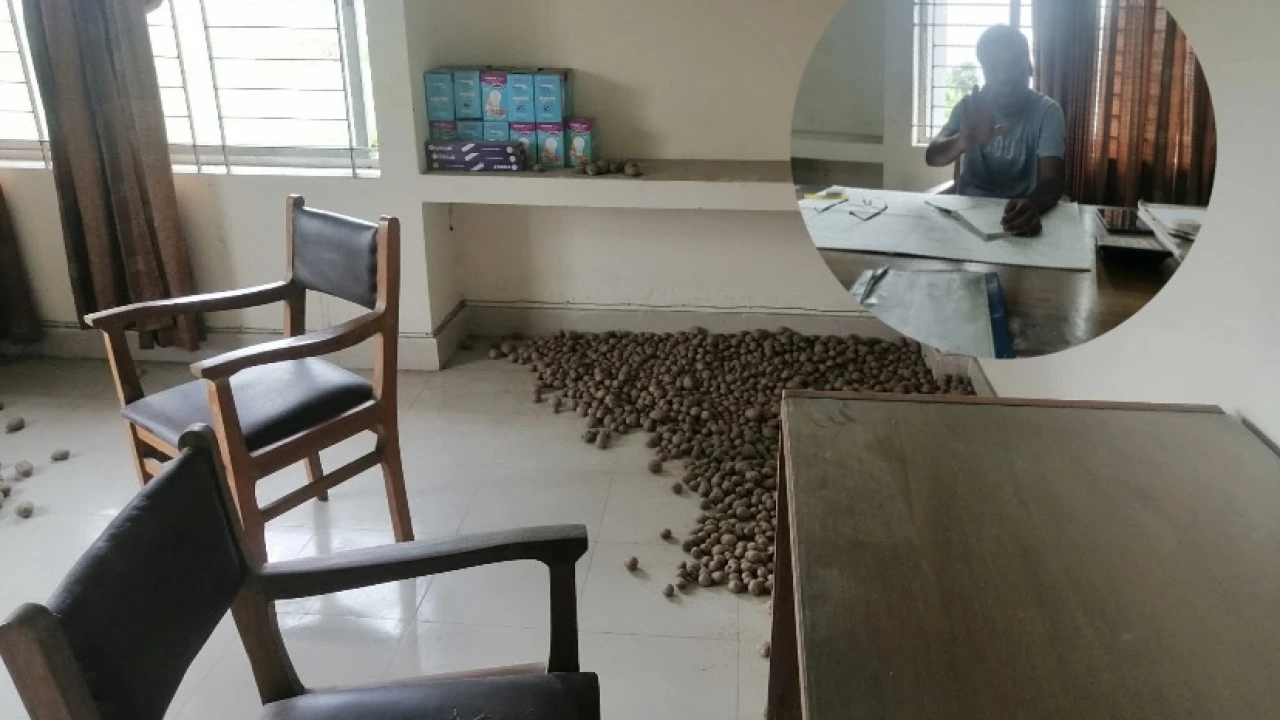 বদলগাছীতে আবহাওয়া অফিসের রুমে পচা আলুর স্তুপ, ছেঁড়া লুঙ্গি ও গেঞ্জিতে উচ্চ পর্যবেক্ষক