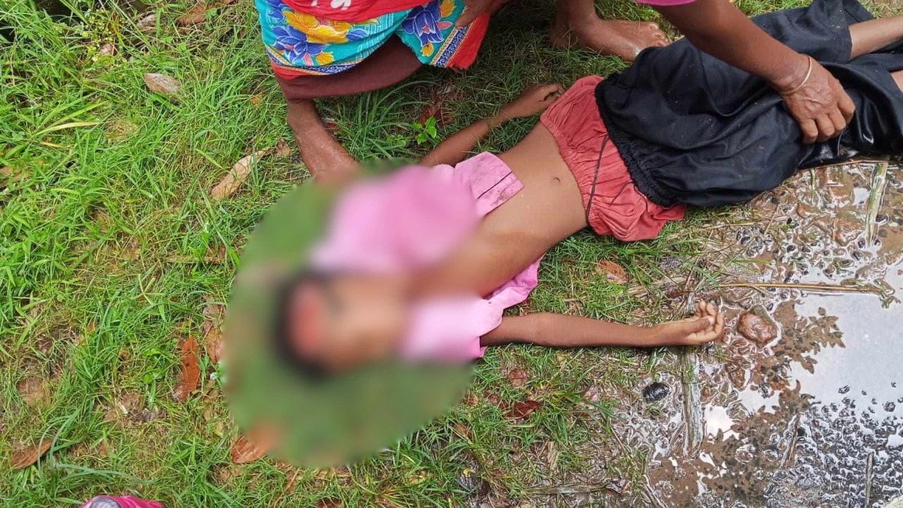 বদলগাছীতে পিকআপের ধাক্কায় স্কুলছাত্রীর নির্মম মৃত্যু, এলাকায় শোকের মাতম